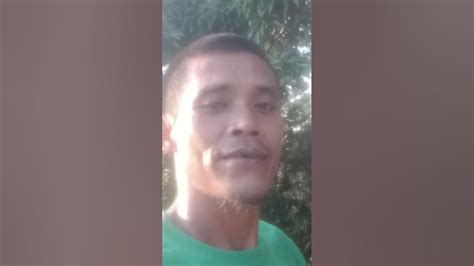Manungkit ng mangga in English with contextual examples.